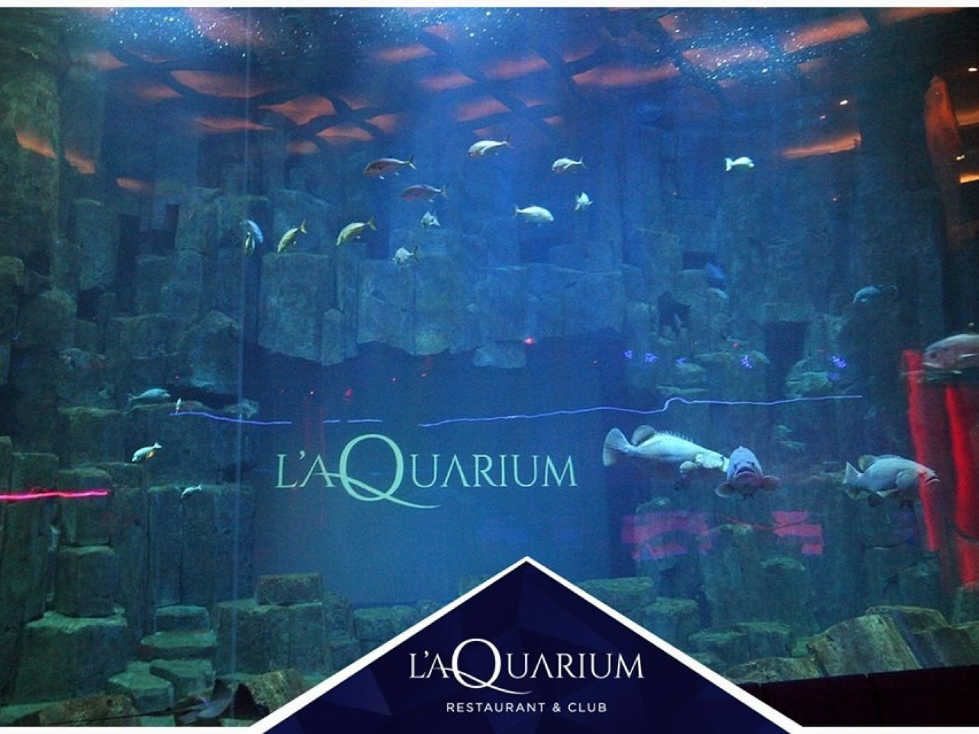 L'Aquarium