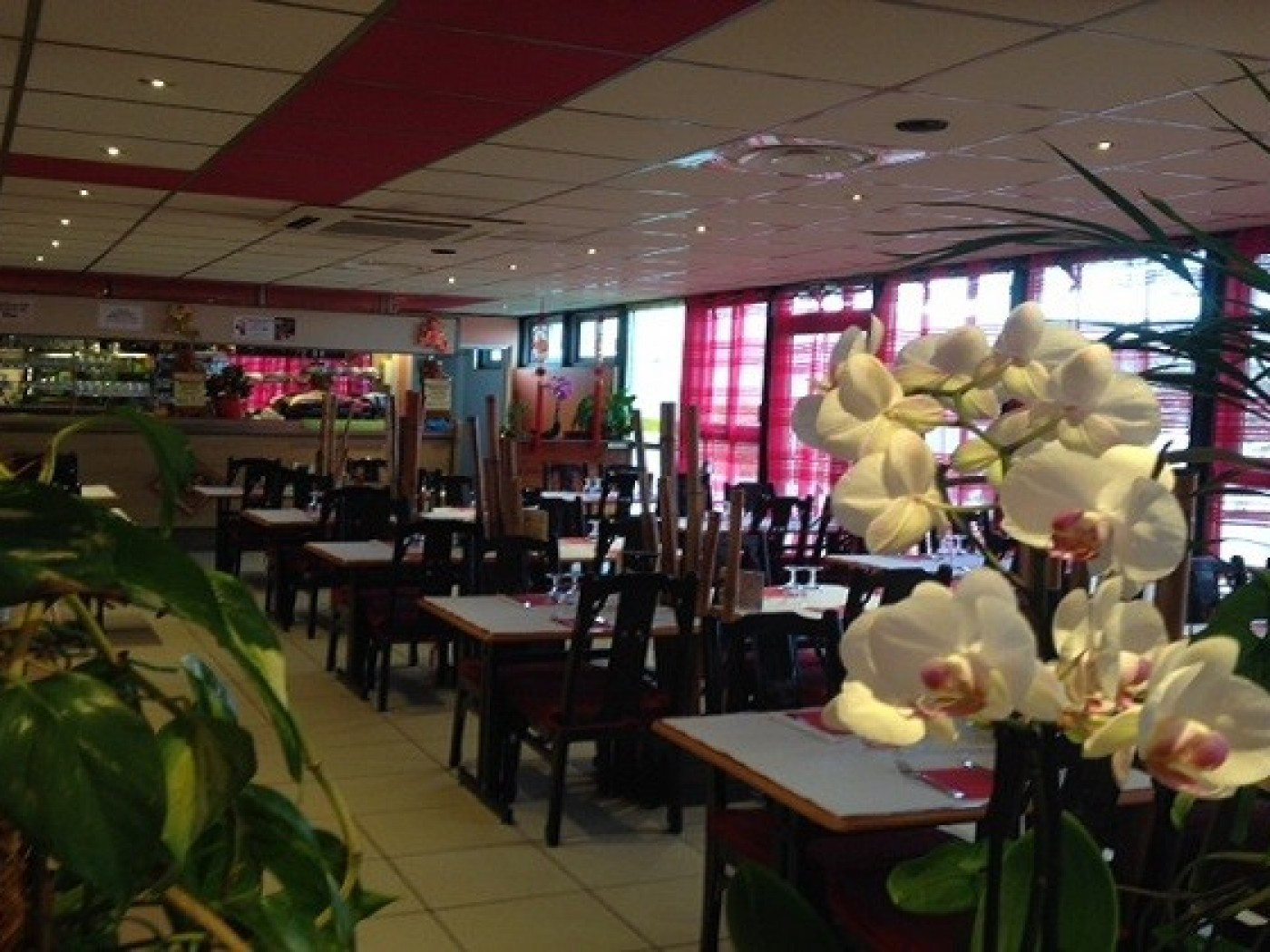 China Wok