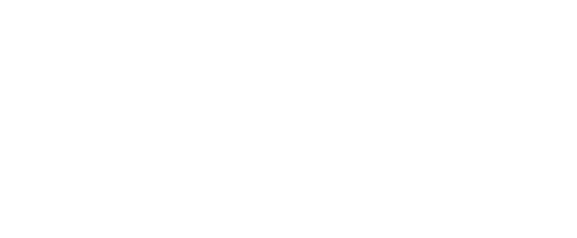 Logo Brasserie Saint Nicolas