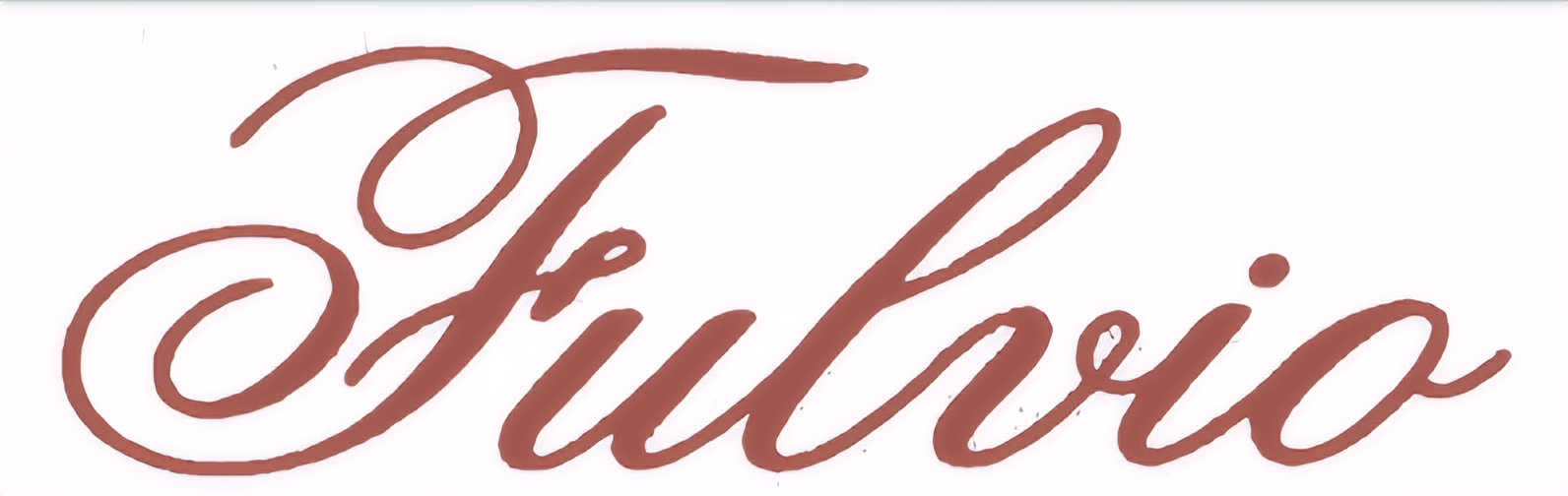 Logo Fulvio