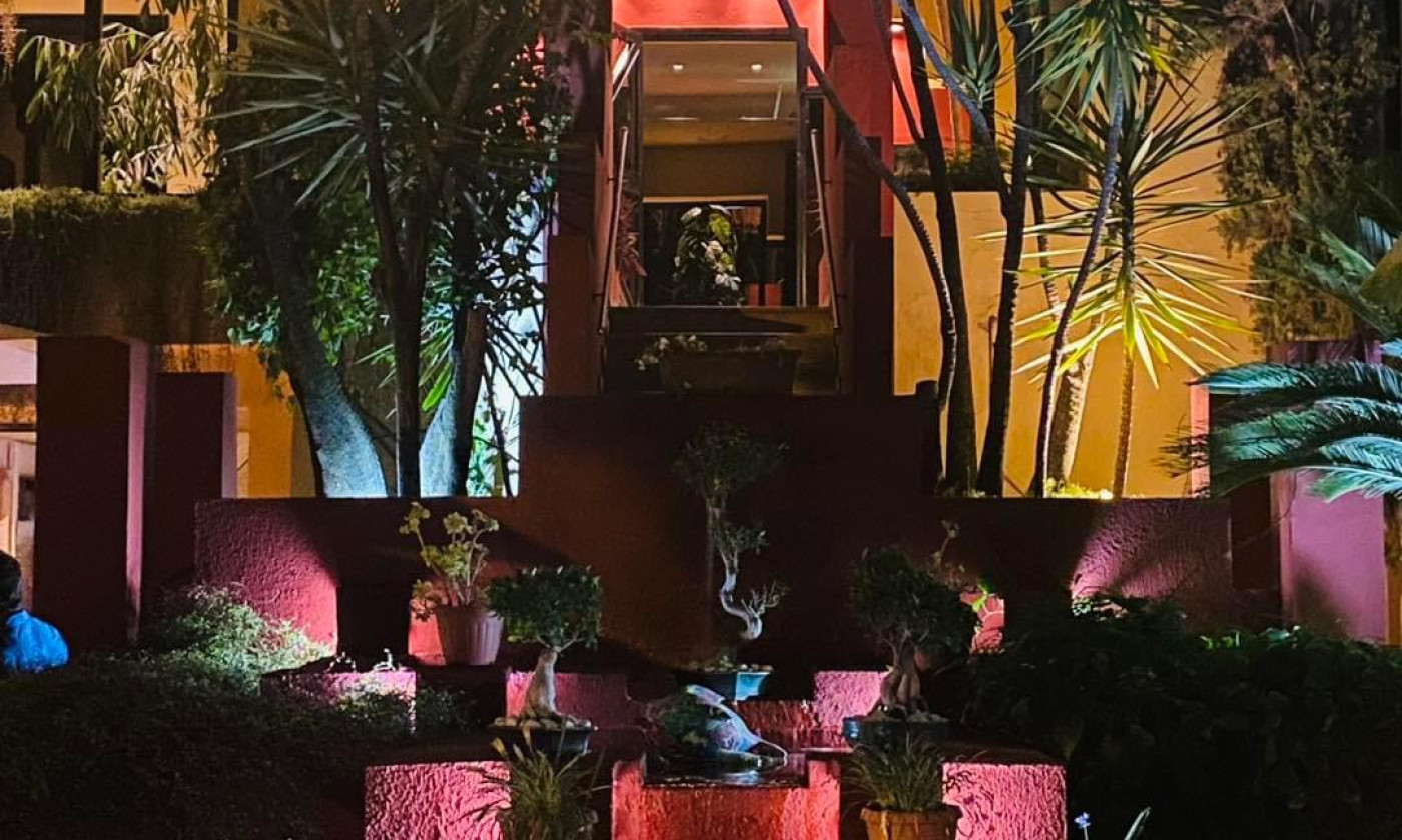 写真、雰囲気、料理