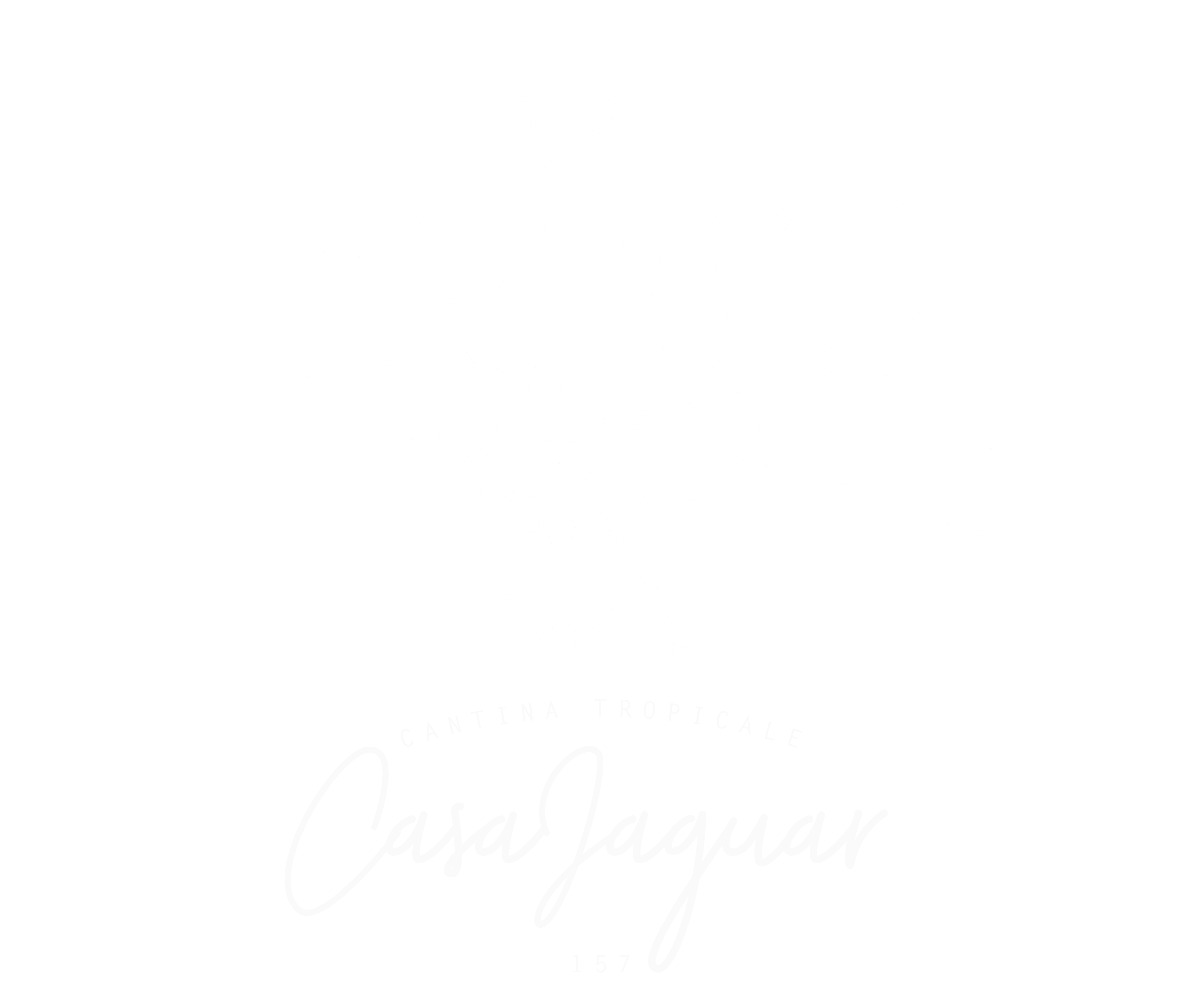 Casa Jaguar