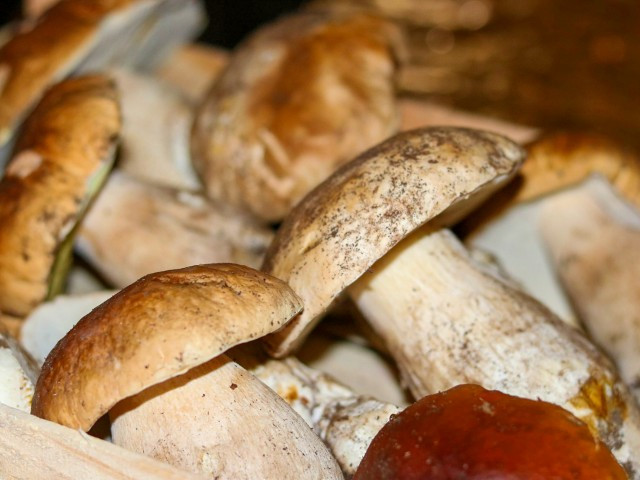 Restaurant Du Loup