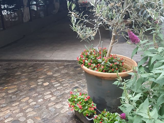 Chez fred by Pierre et Siham 