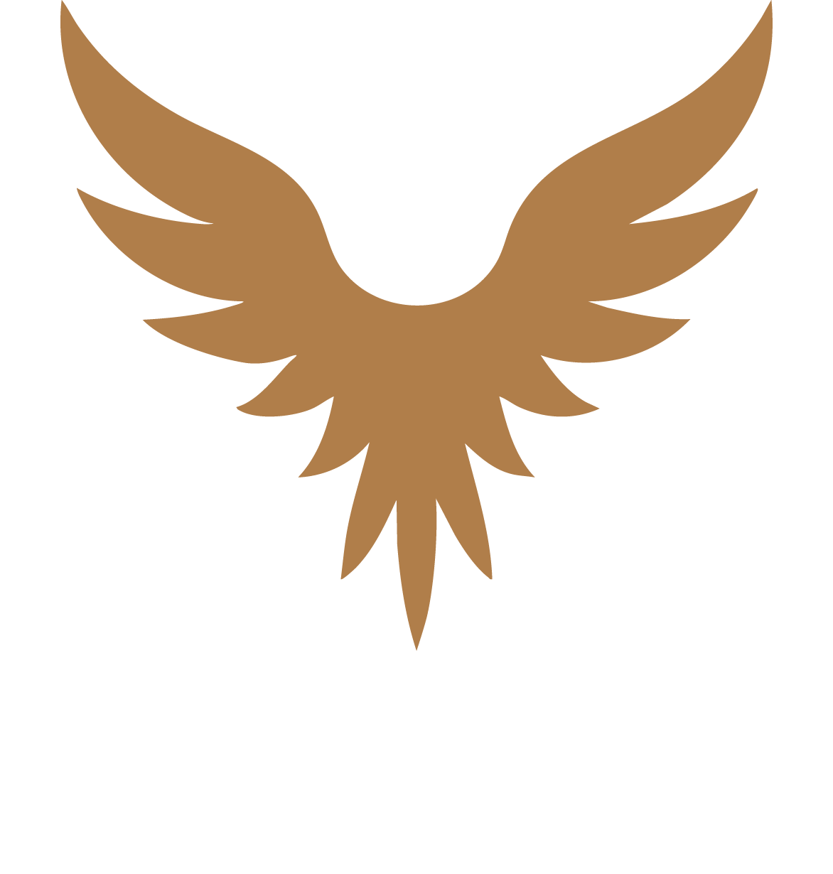 Logo RENAUD