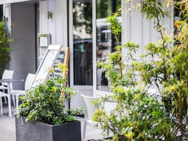 RESTAURANT ABSOLU VINCENNES