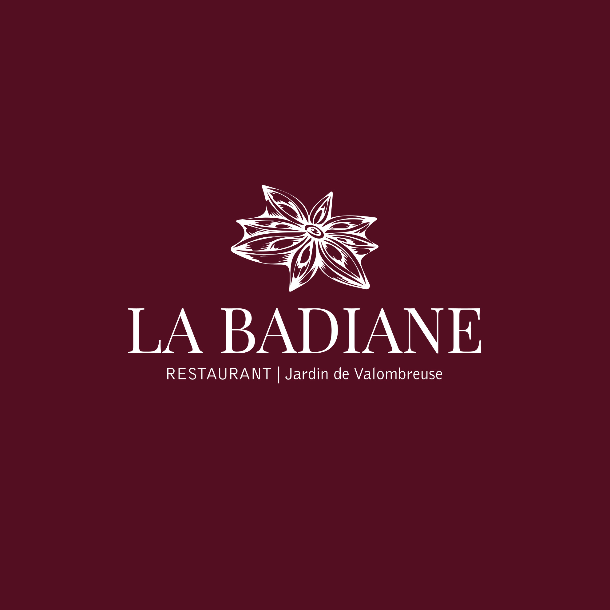 Logo LA BADIANE