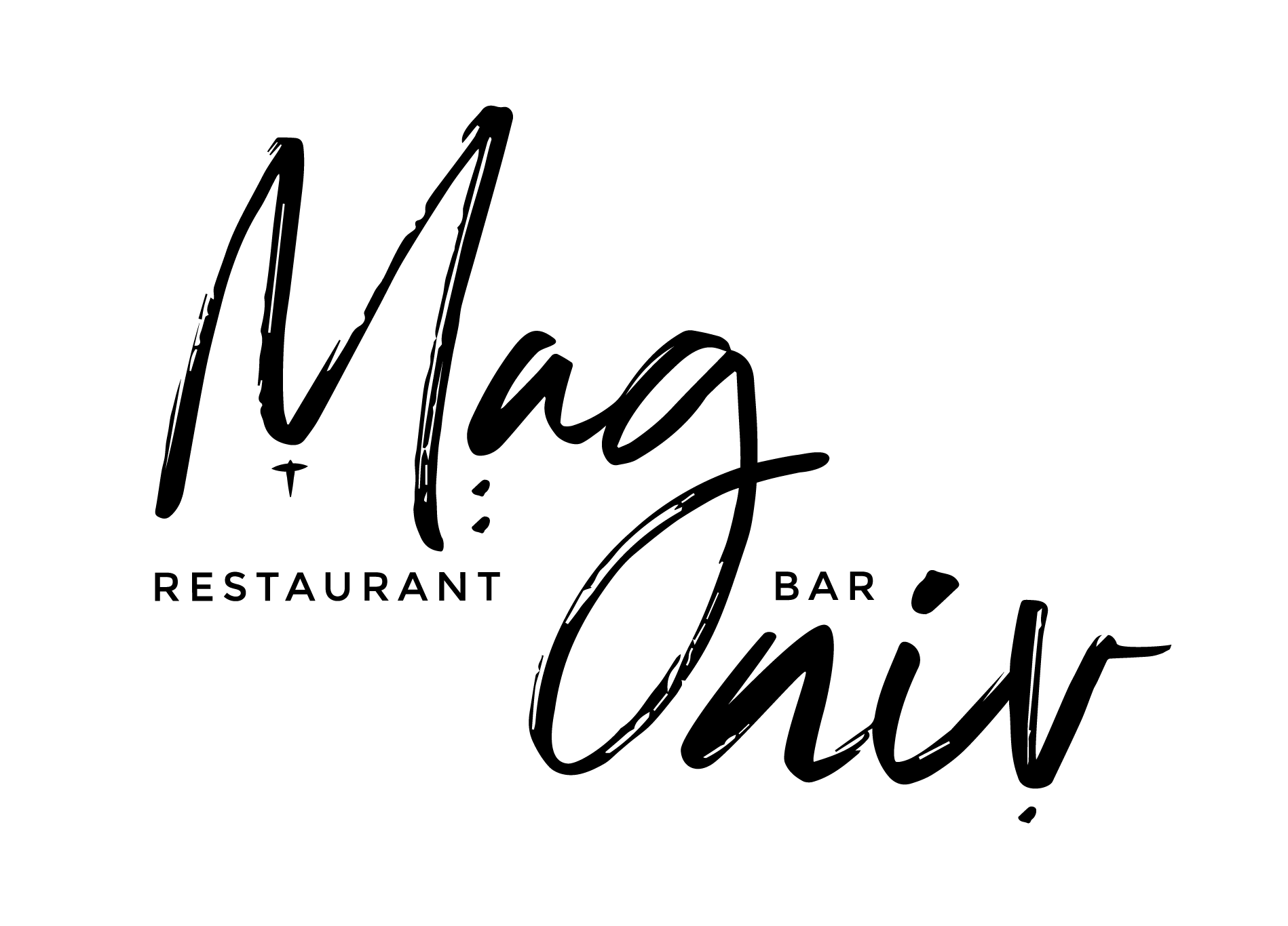 Logo Magniv