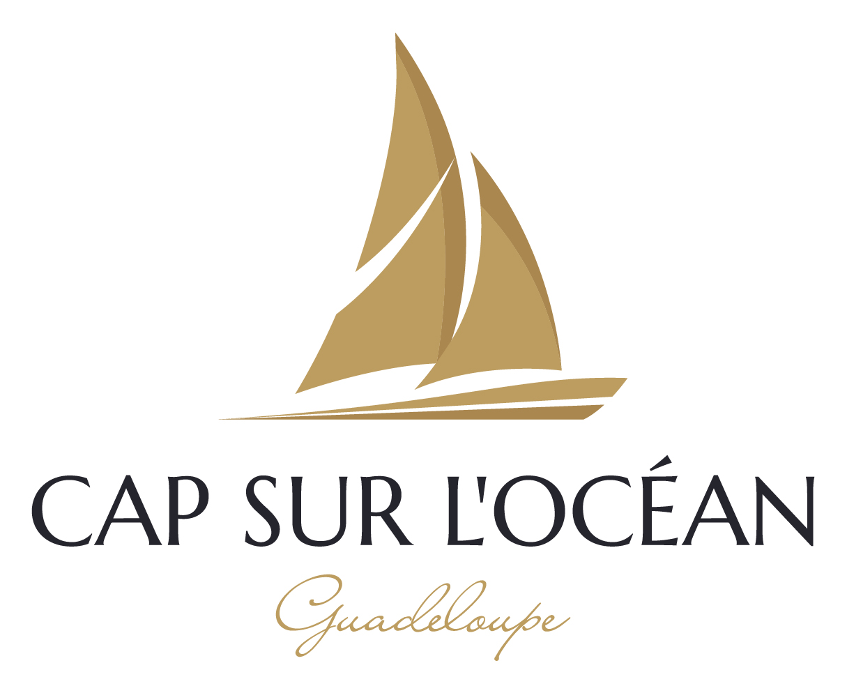 Logo Cap sur l'Ocean