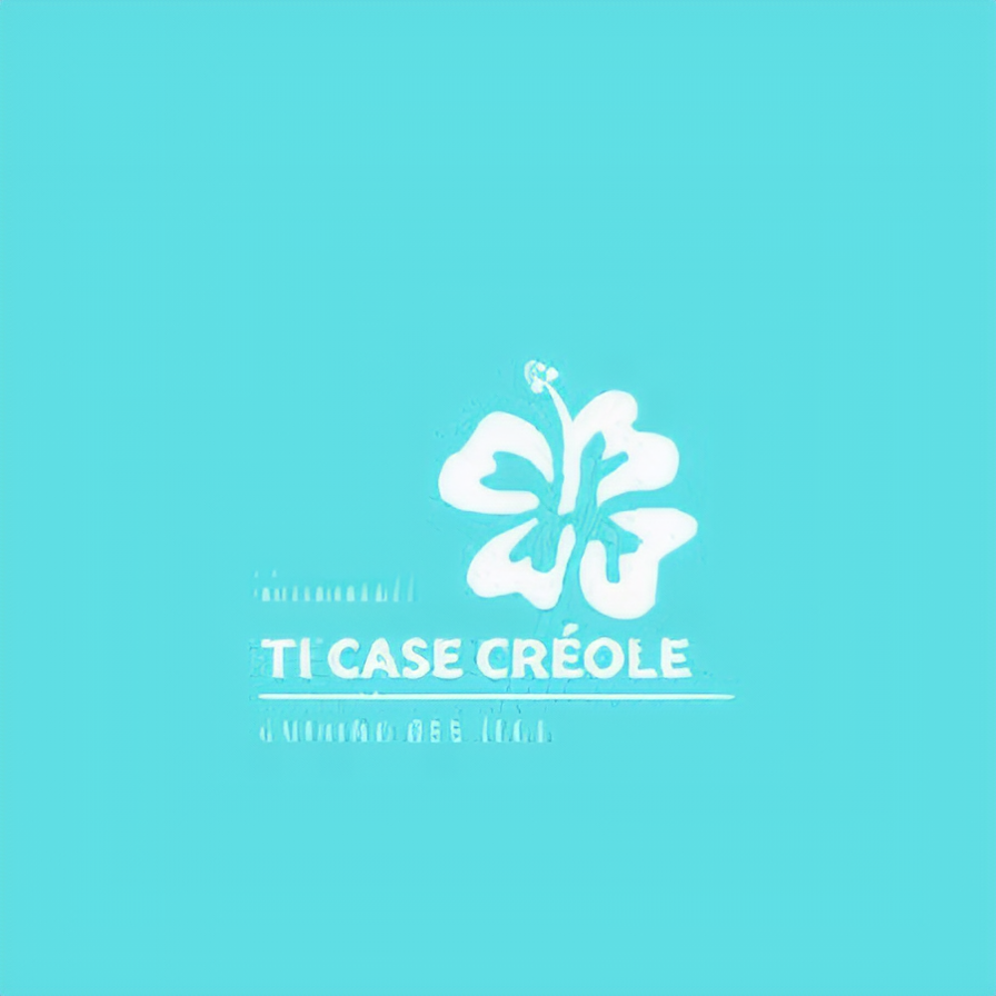 Logo TI CASE CREOLE