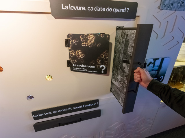 Choulette Expérience 
