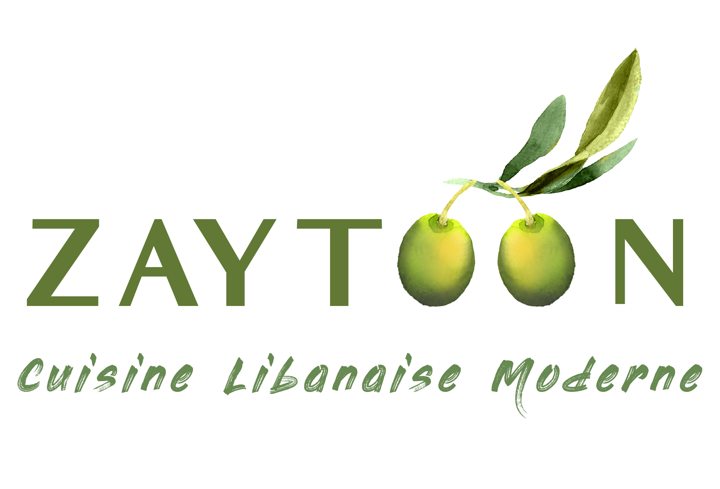 Logo ZAYTOON