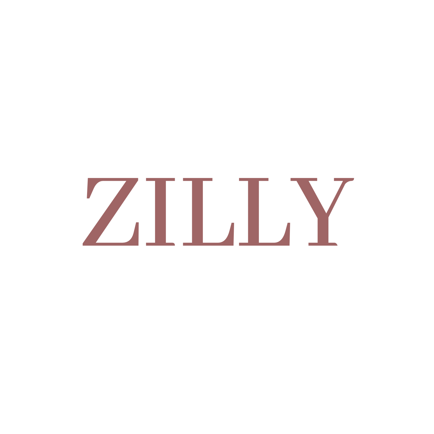 Logo ZILLY