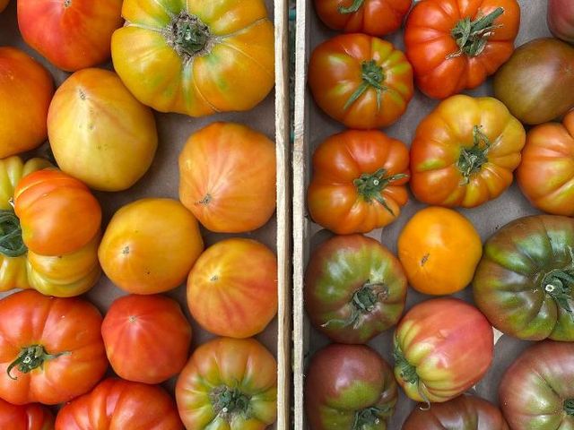 Le Nid - Table Intimiste 