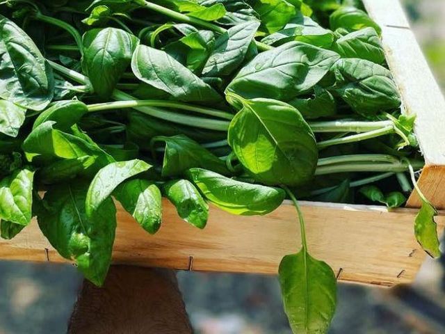 Le Nid - Table Intimiste 