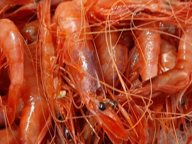 Le Nid - Table Intimiste 