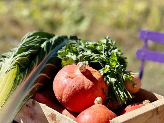 Le Nid - Table Intimiste 