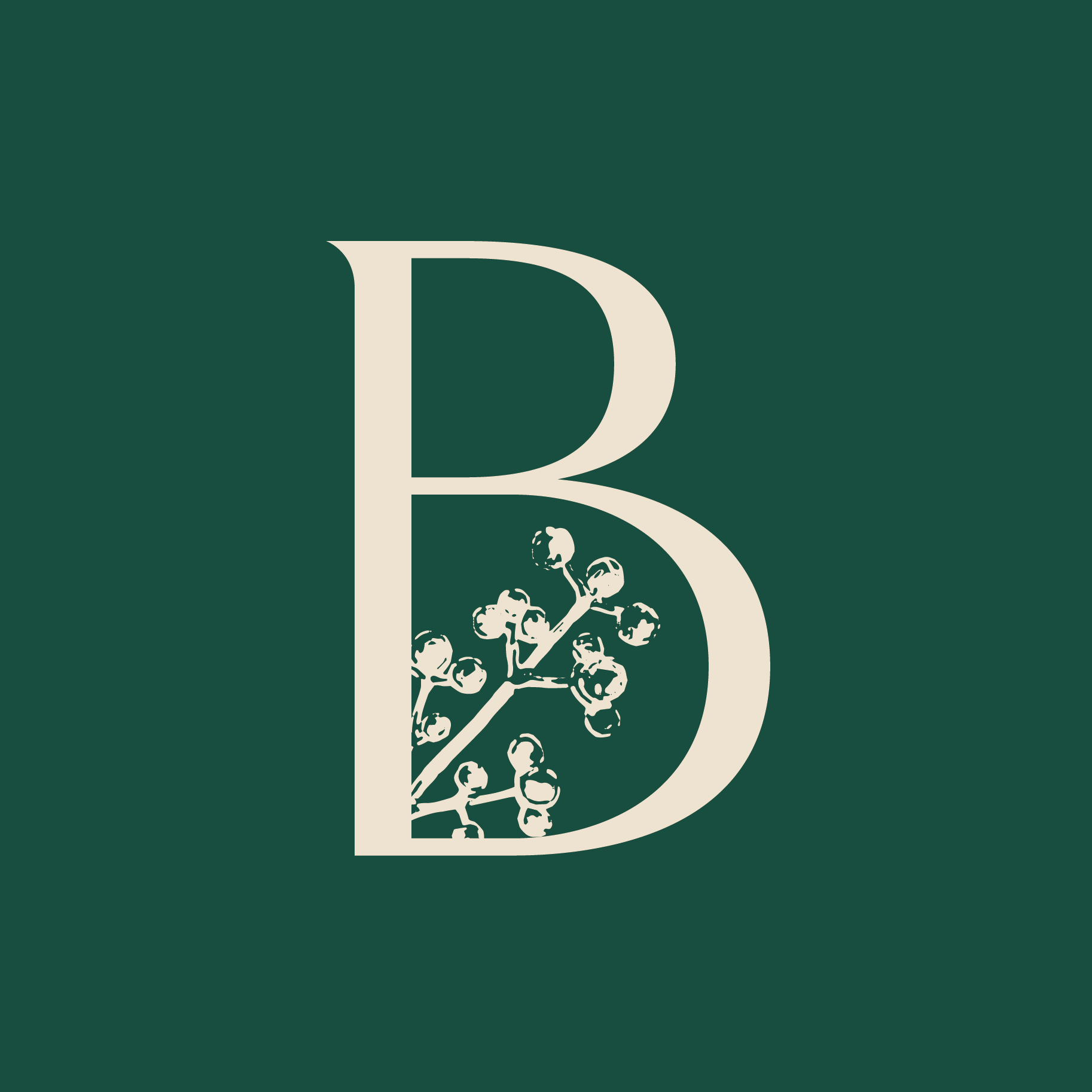 Bairoz
