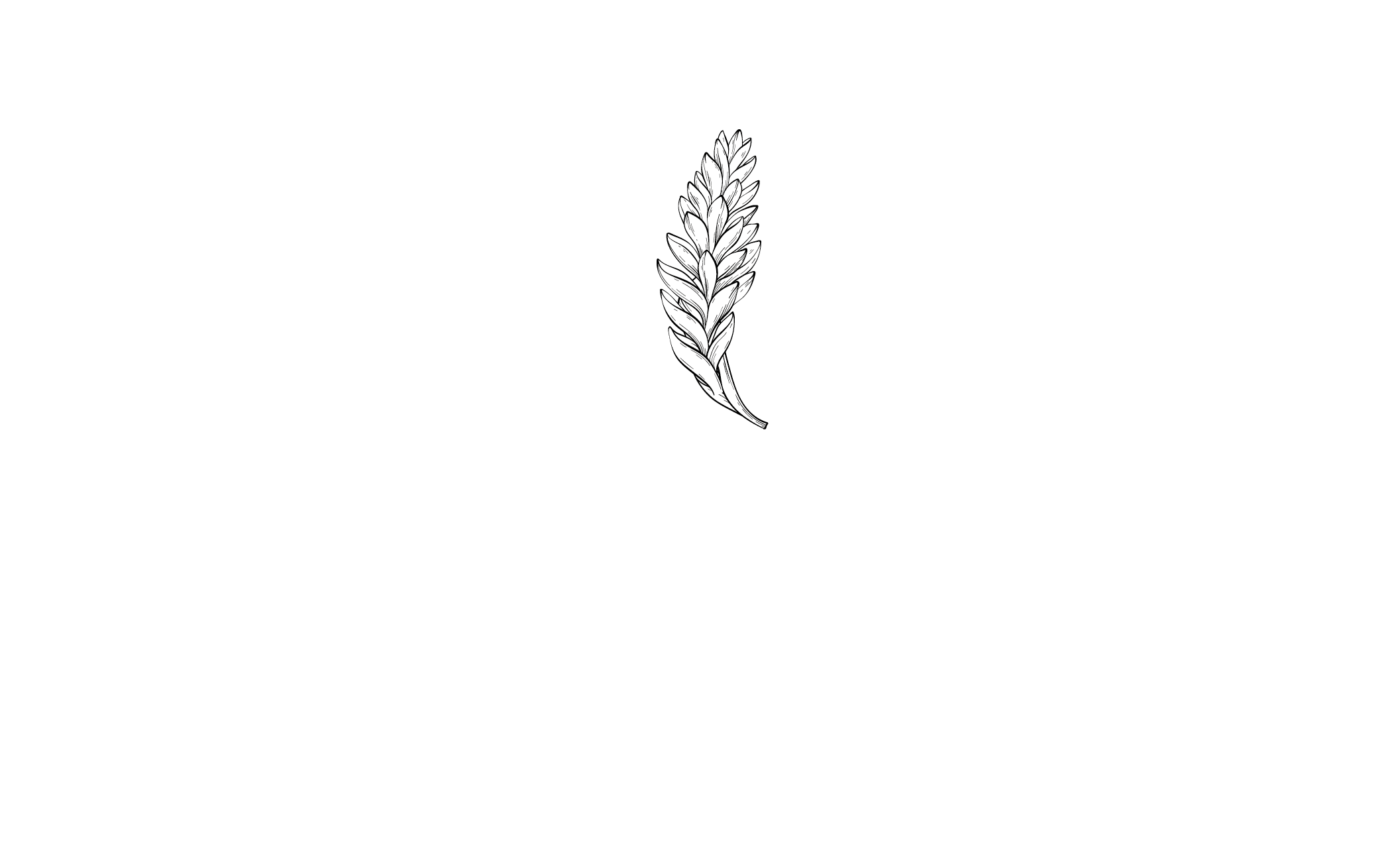 Logo Ginger