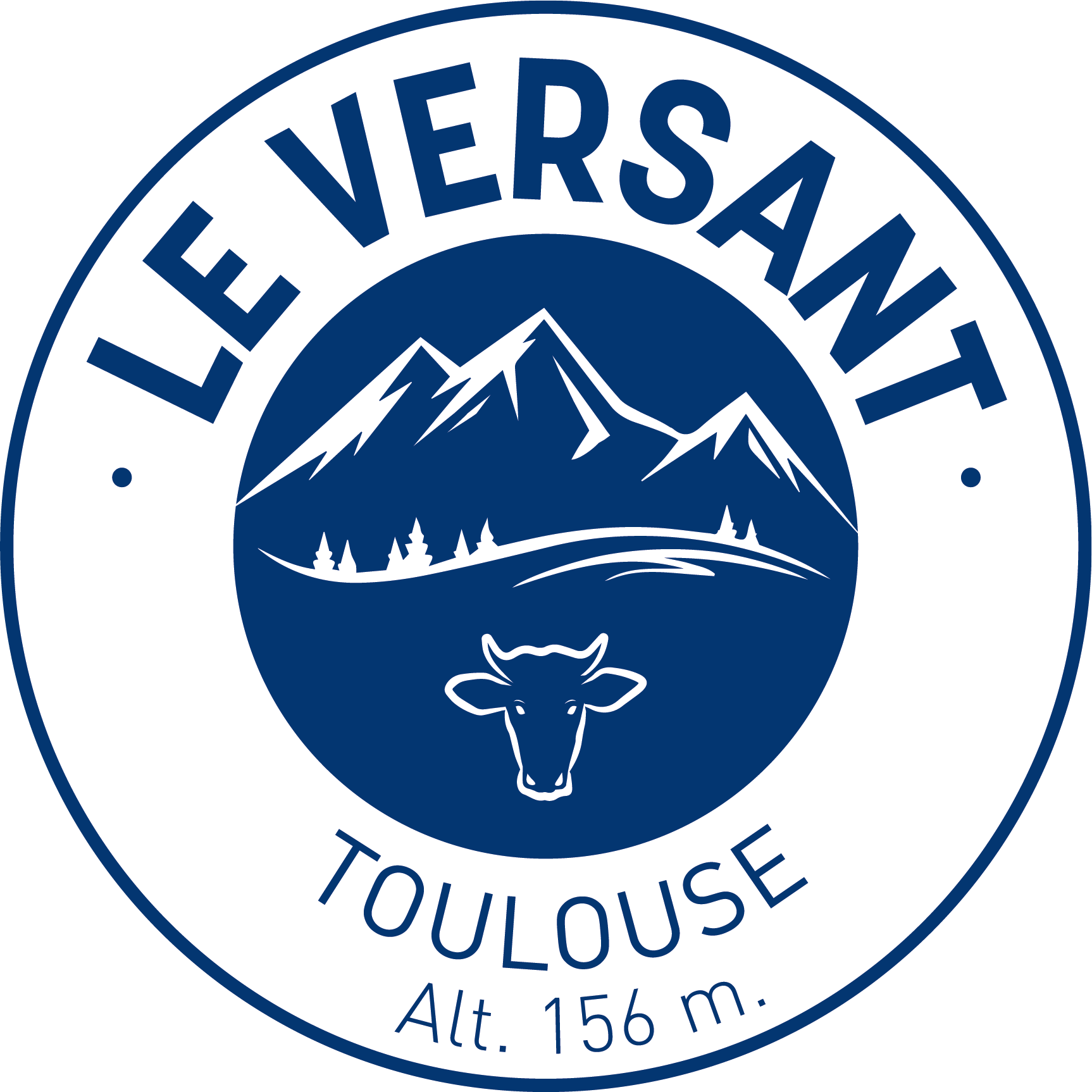 Logo LE VERSANT TOULOUSE