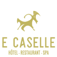 Hotel E Caselle