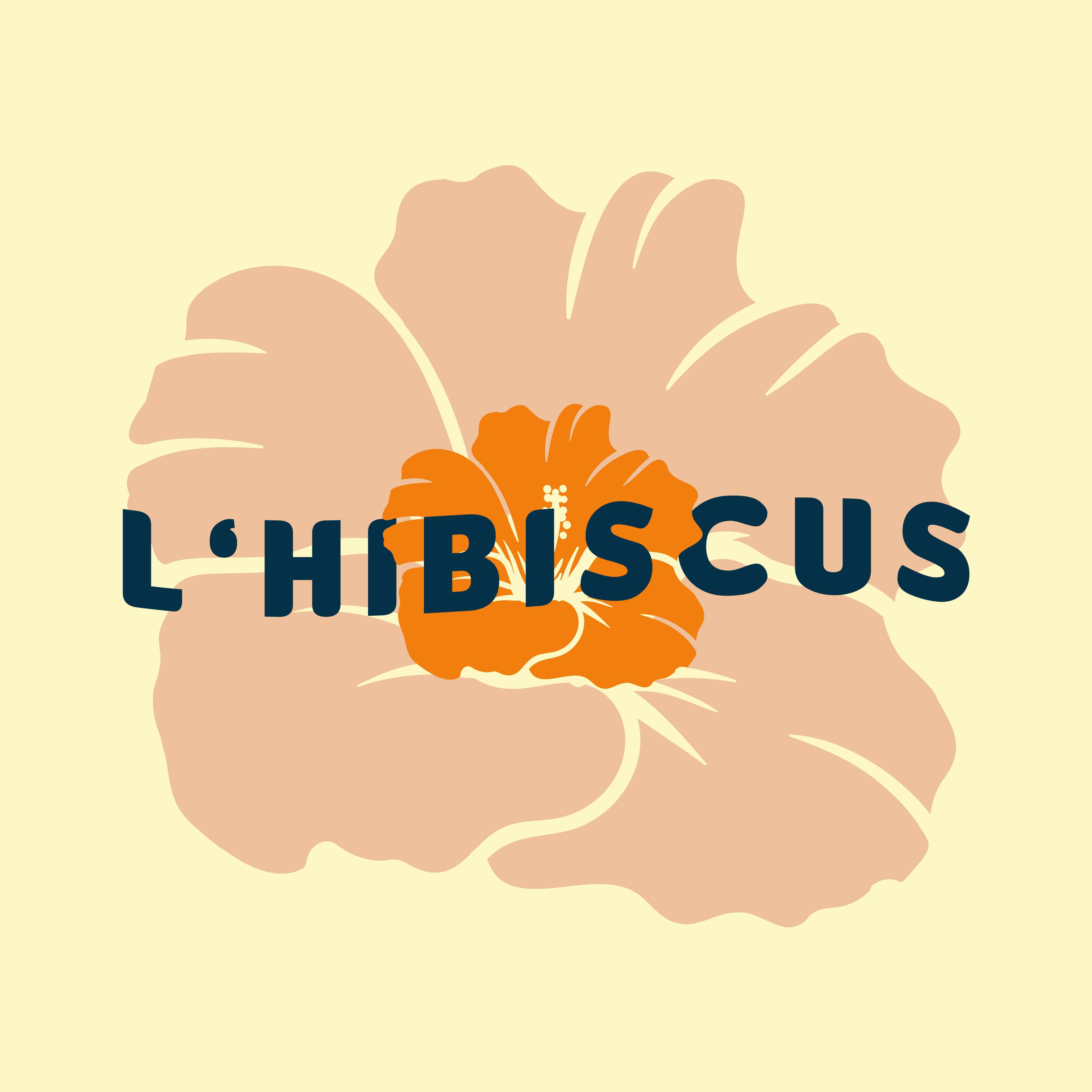 L'Hibiscus