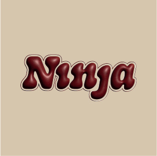 Ninja Antwerp