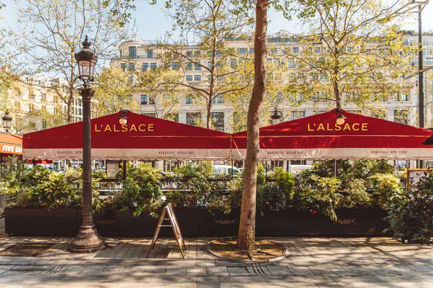 Brasserie L'Alsace