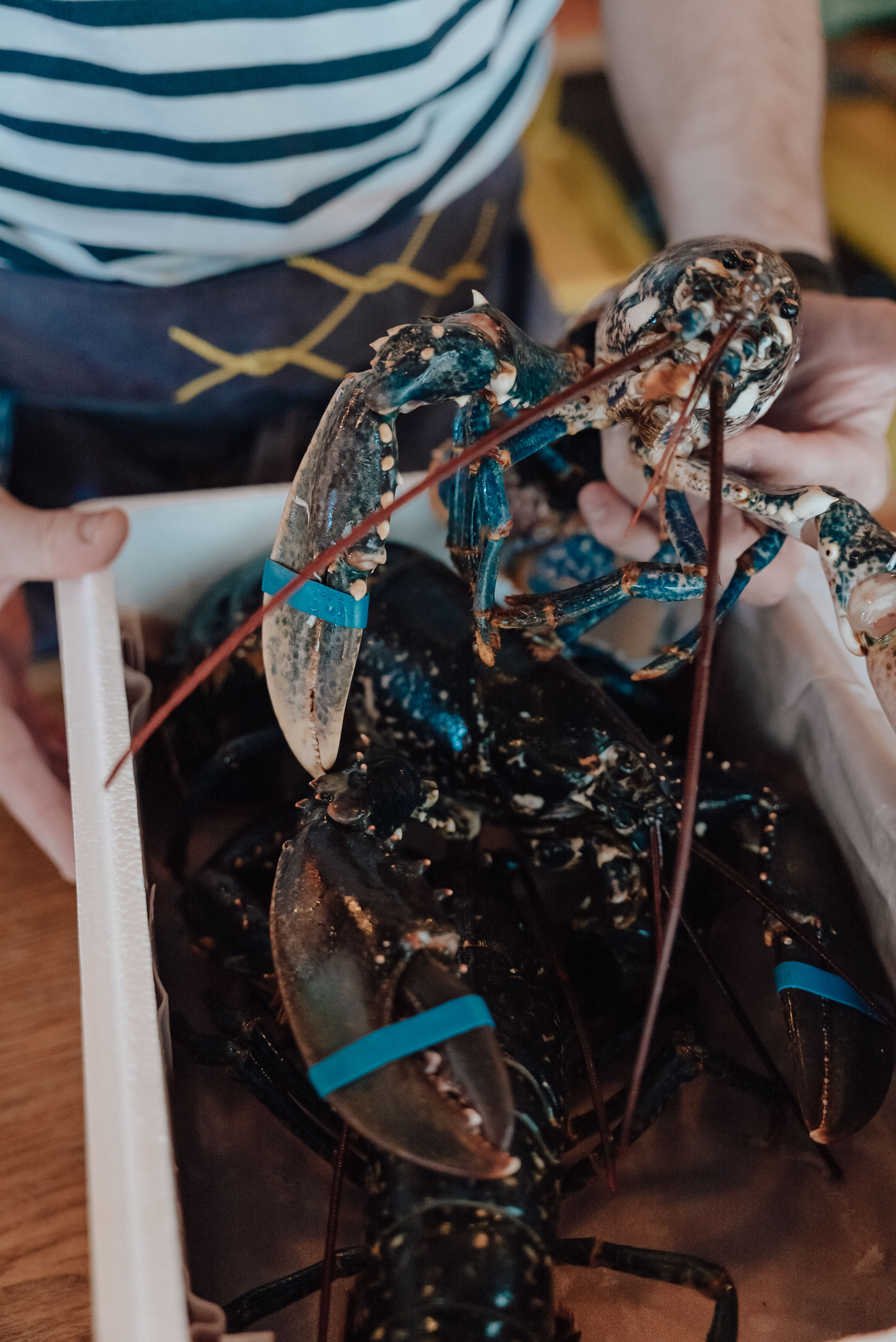 JUSTE Restaurant de fruits de mer (Paris)