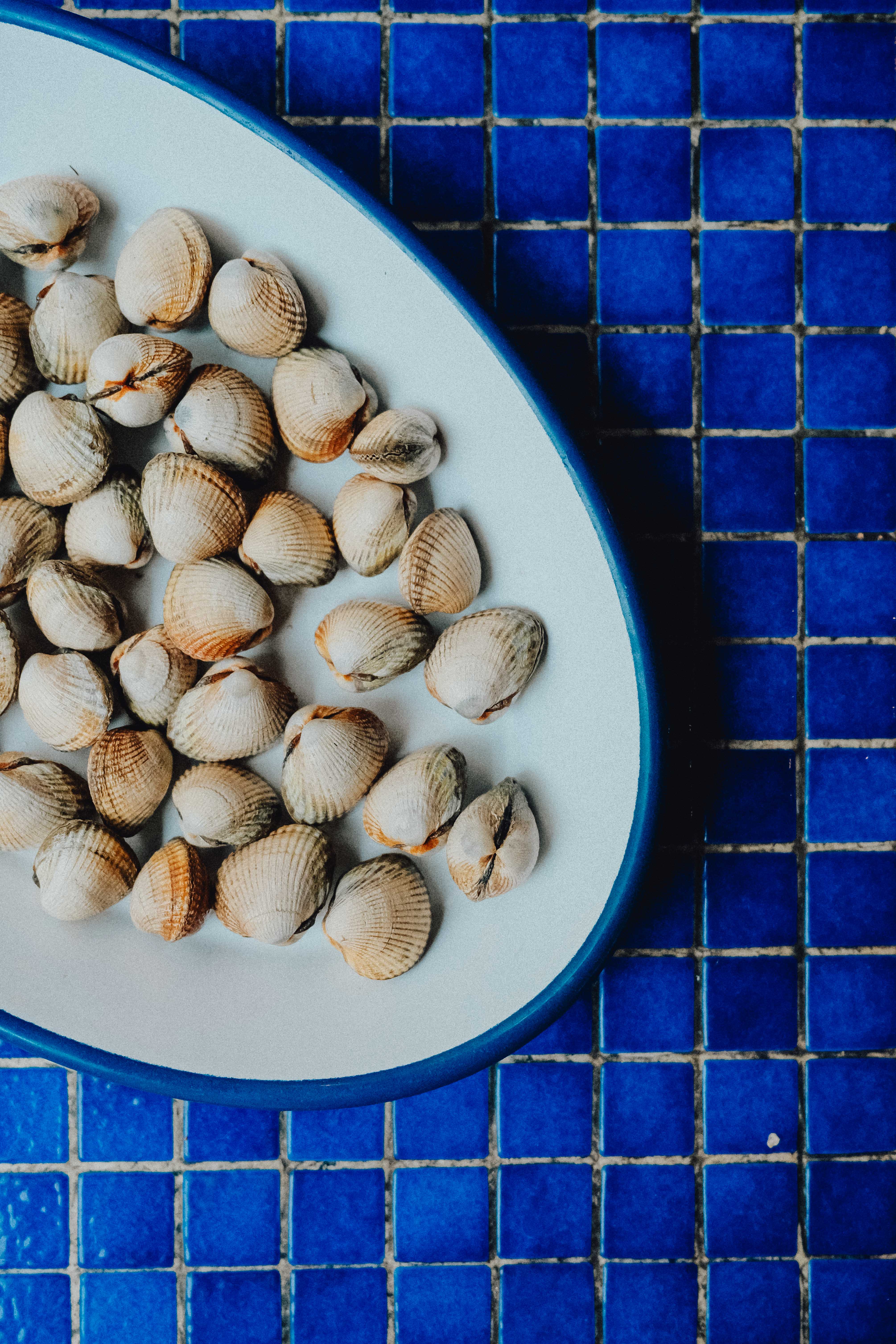 JUSTE Restaurant de fruits de mer (Paris)