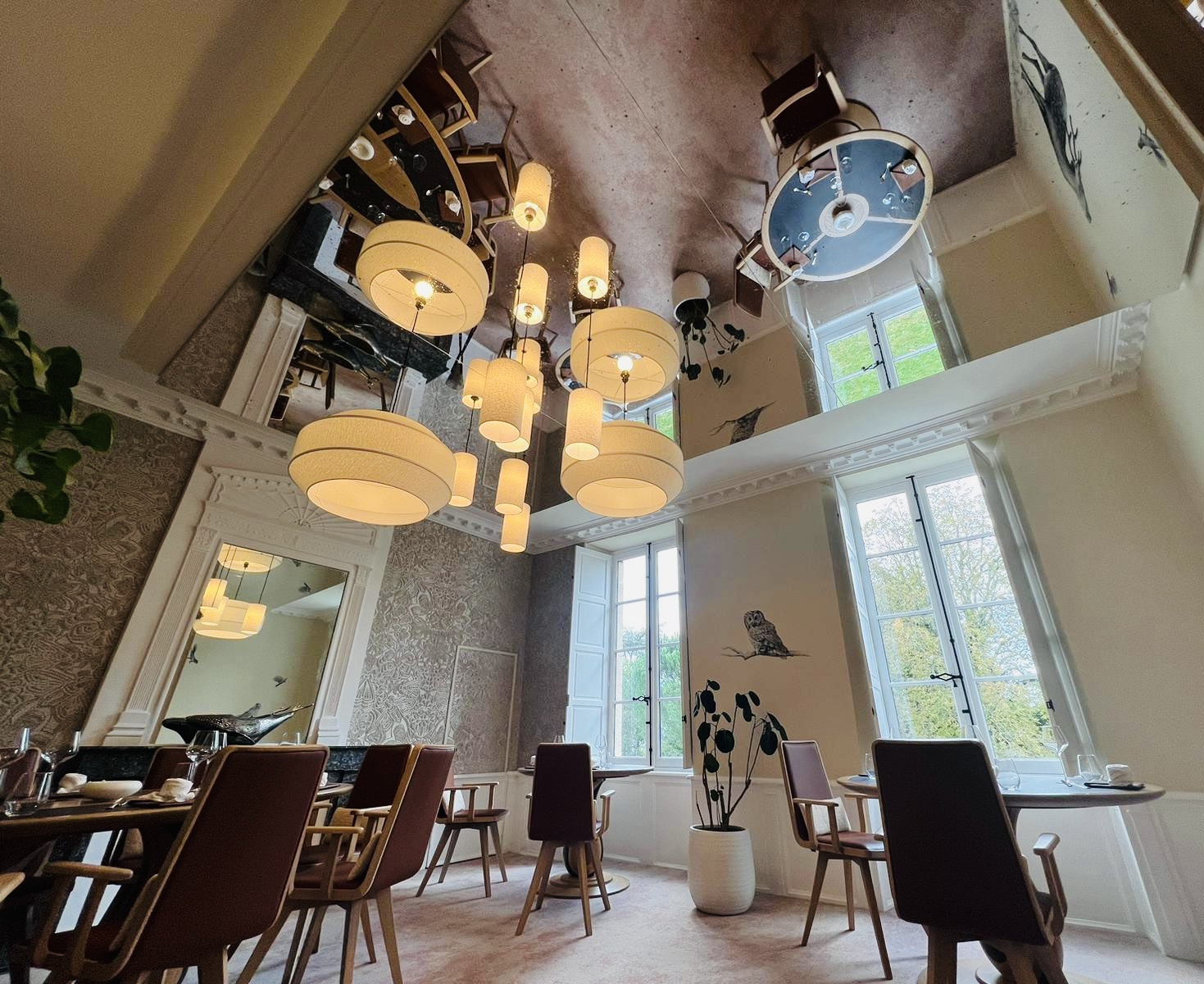 Maison Patte Noire "1 lieu, 2 restaurants"