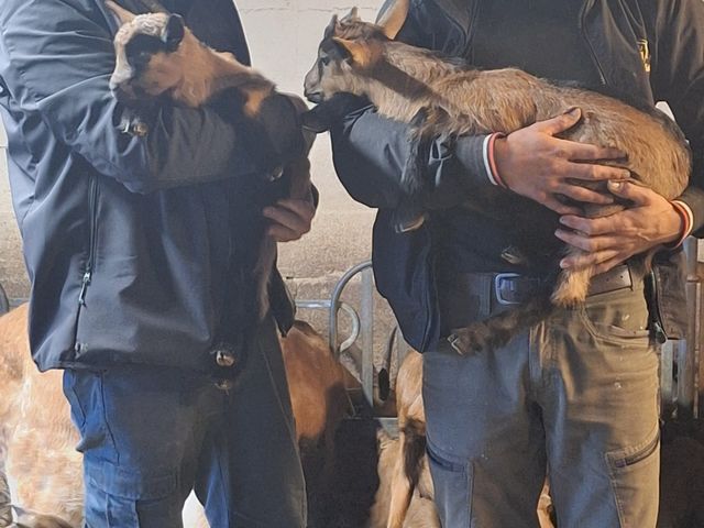 Le Nid - Table Intimiste thomas.jpg