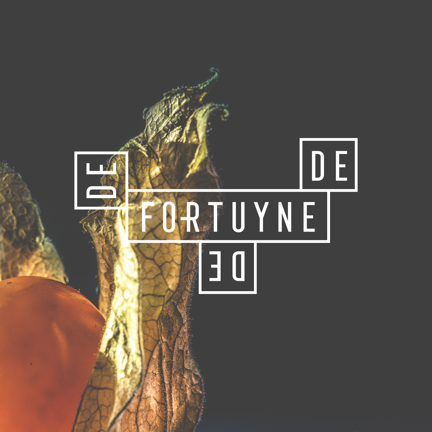 De Fortuyne