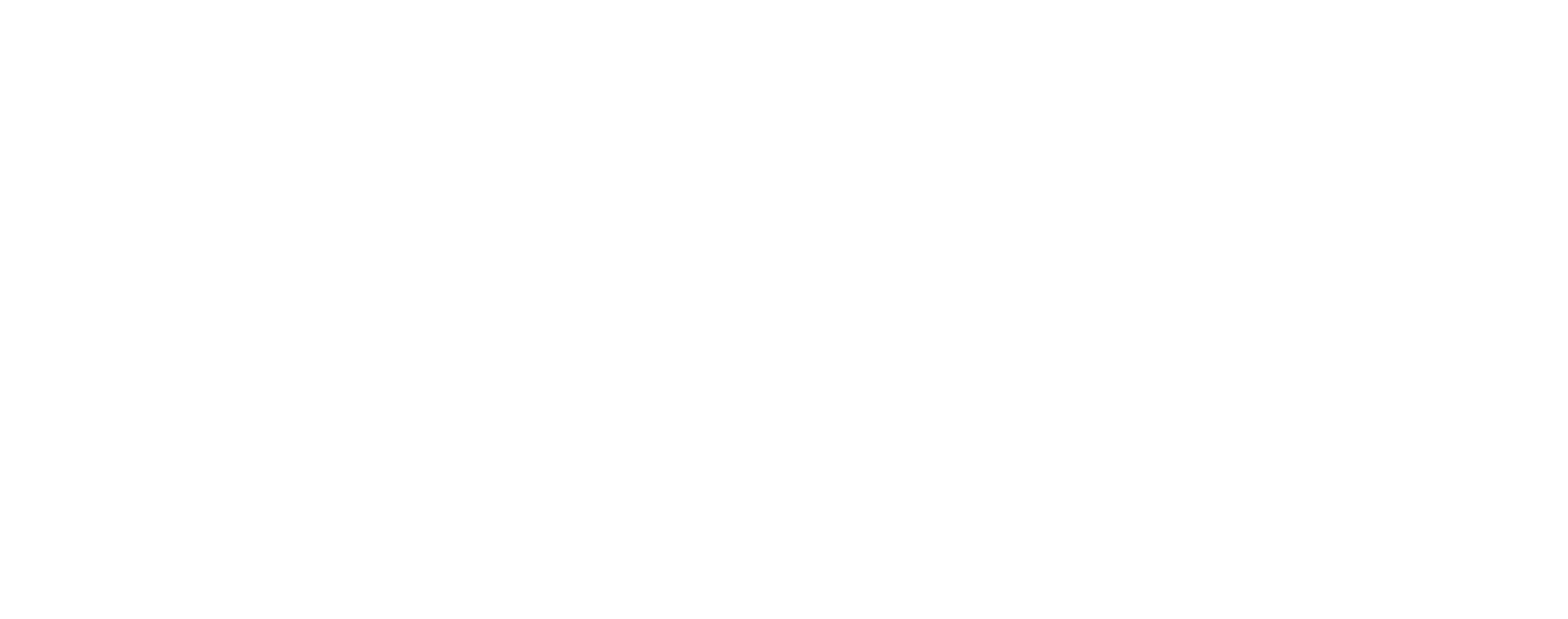 Chuck Burger Lyon