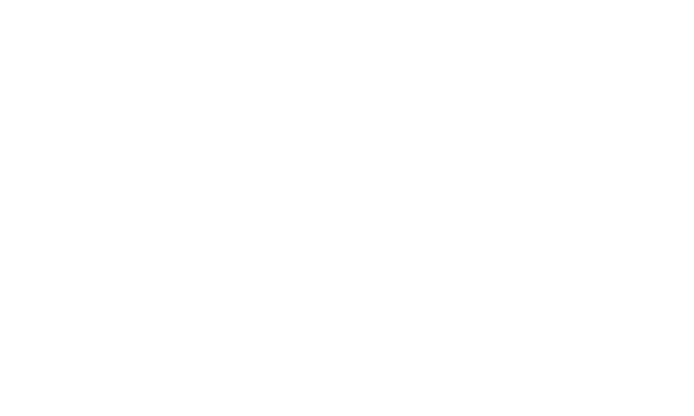 Logo Anamour Restaurant Plaisir