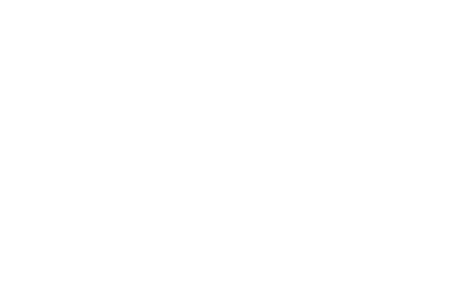 Il Rovescio