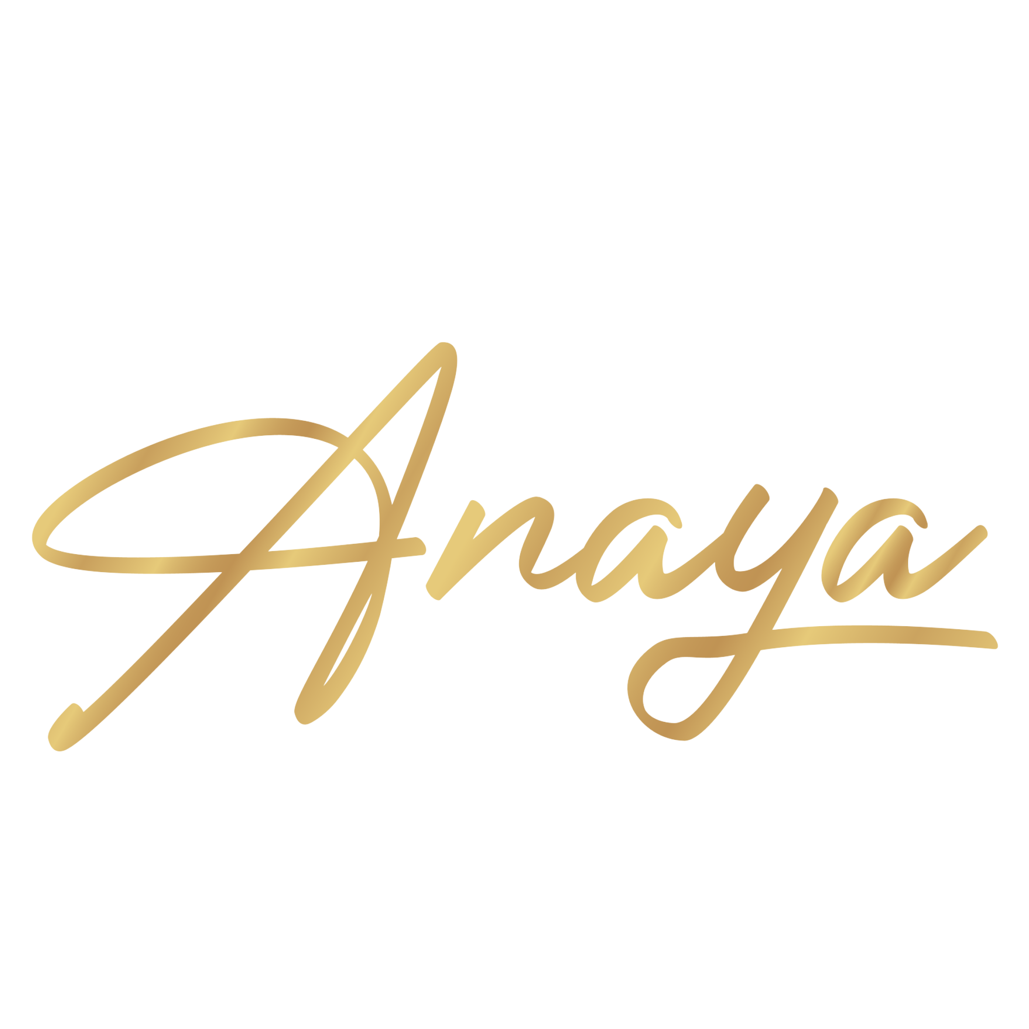Anaya - Restaurant & Steakhouse