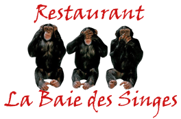 LA BAIE DES SINGES