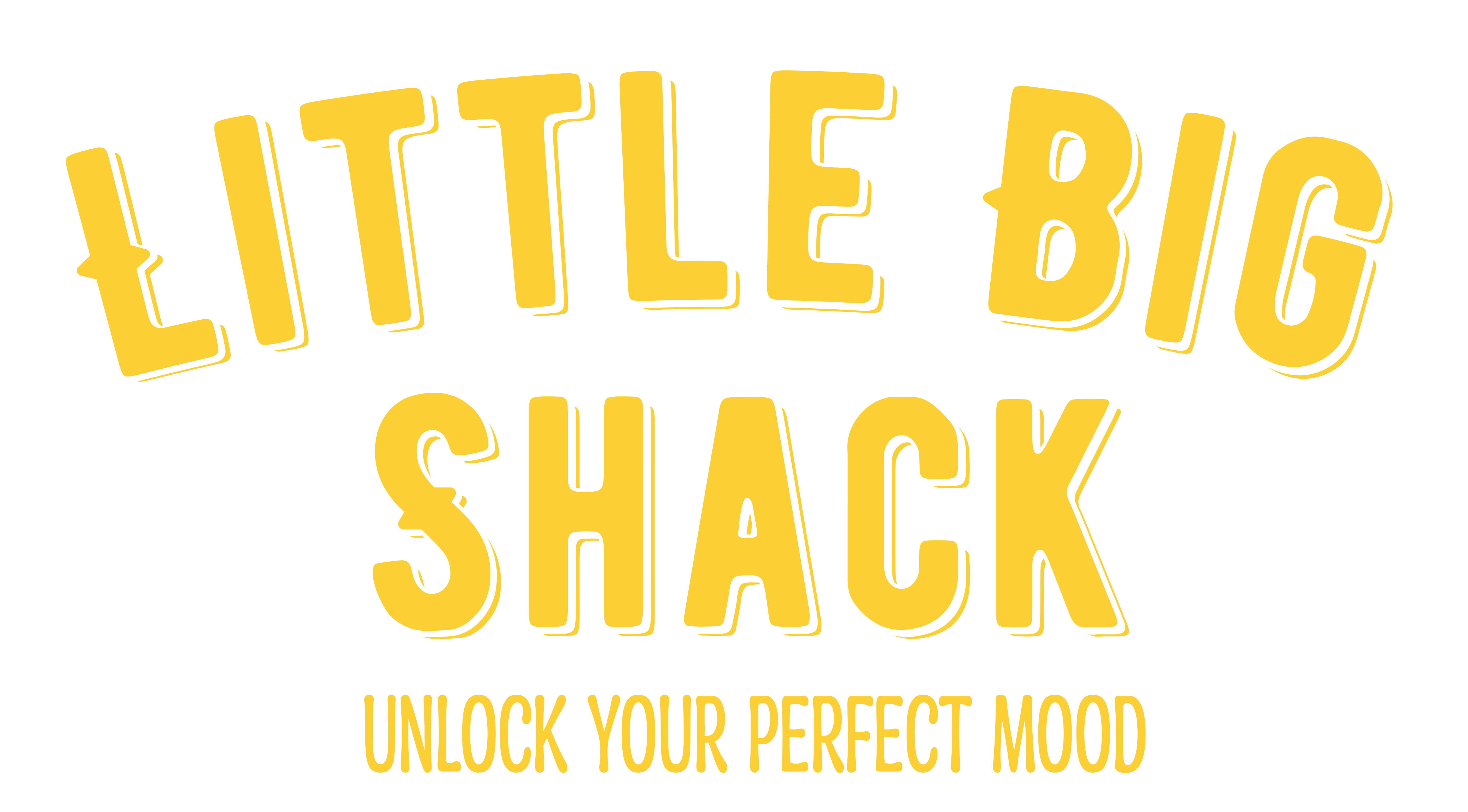LITTLE BIG SHACK