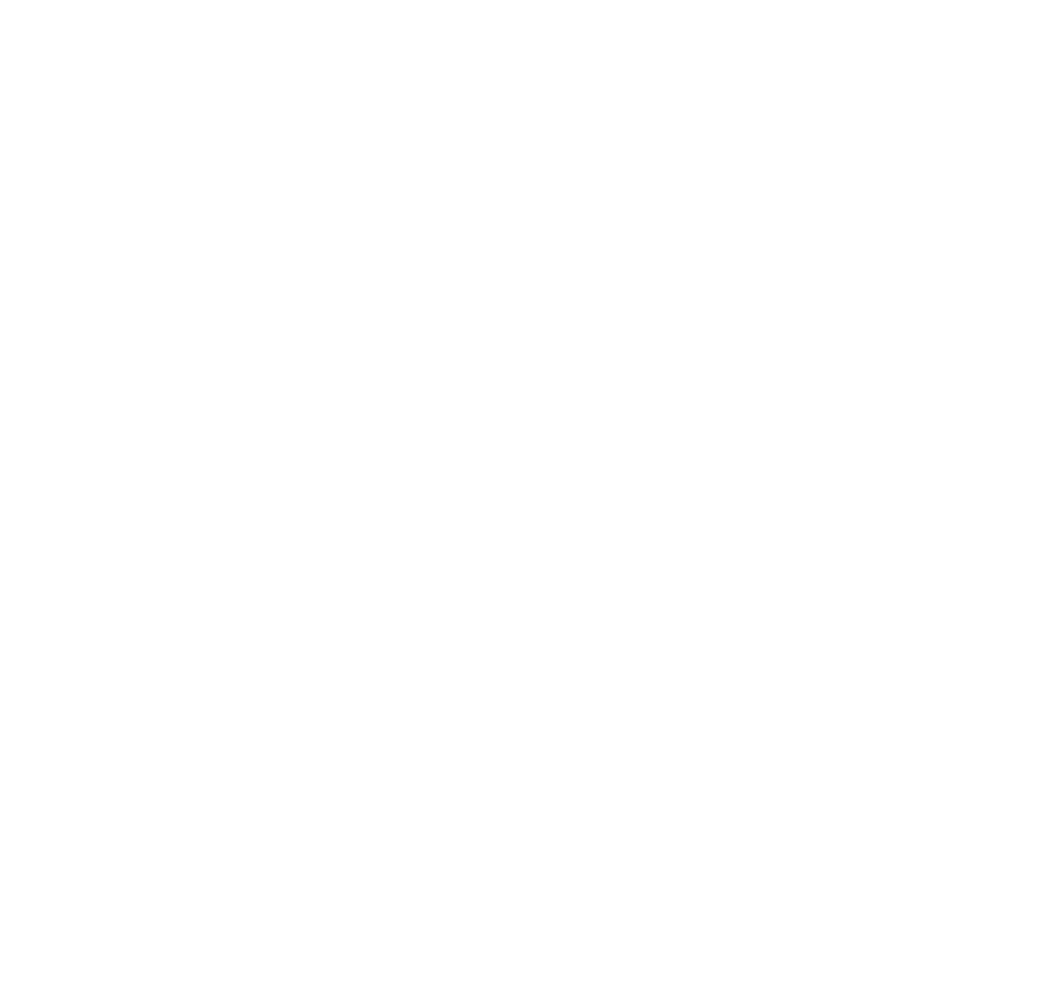 Les Oies Sauvages