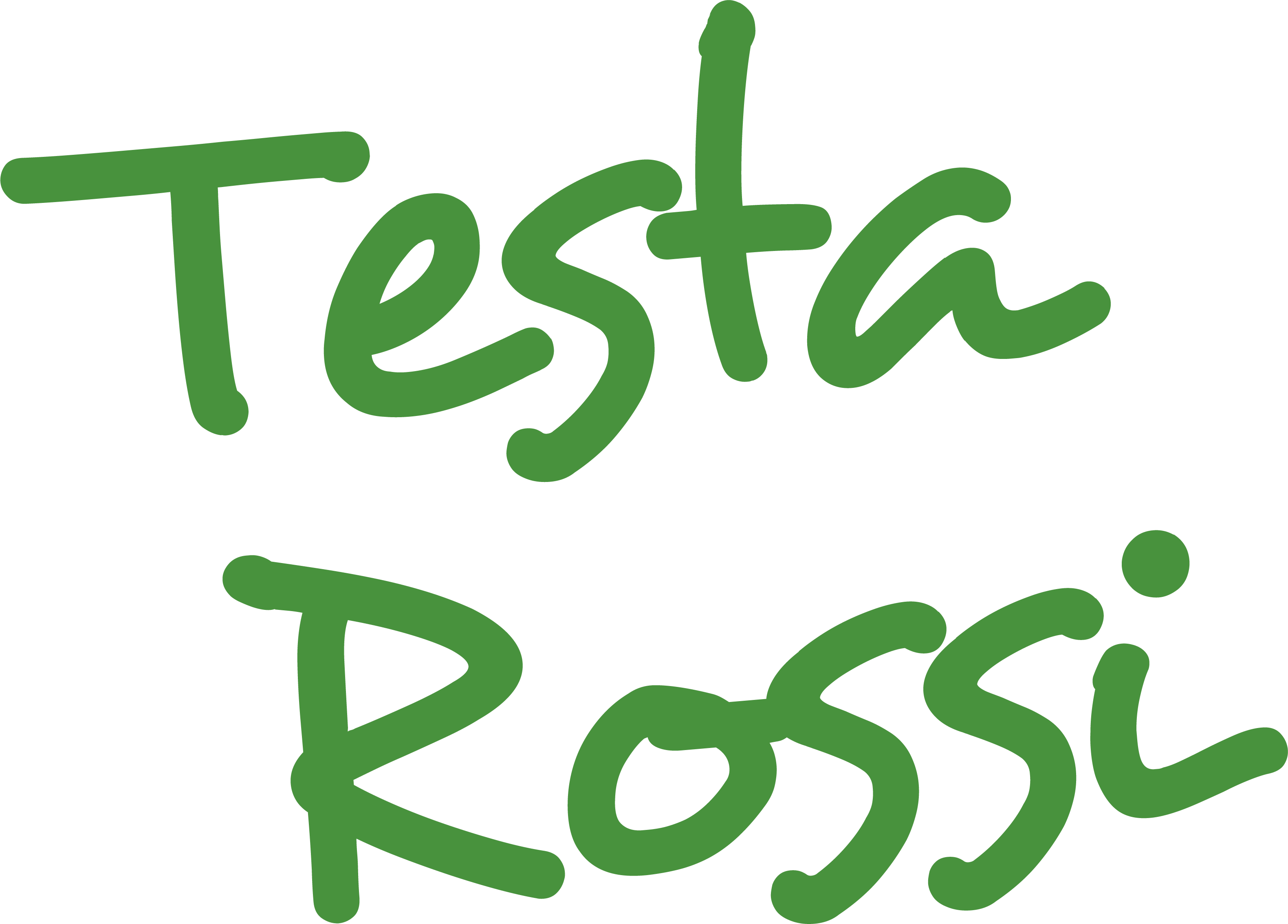 Testa Rossi