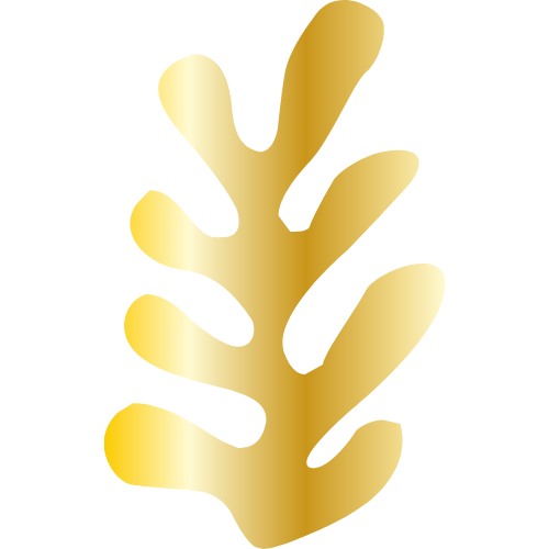 Logo CEVICHERIA PETIT PACIFICO